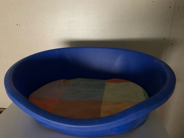 Cama perro azul - multicolor