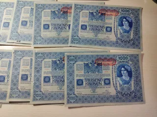 L63* Lote 14 billetes Austria