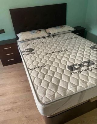 Liquidacion de canapes y colchones