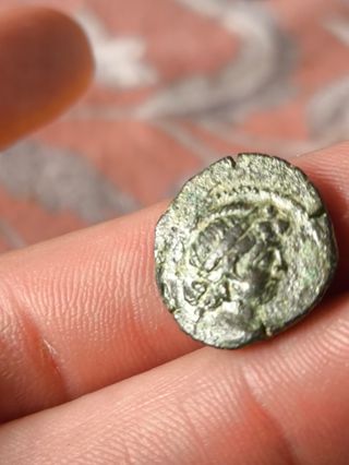 Moneda Griega Seleucida