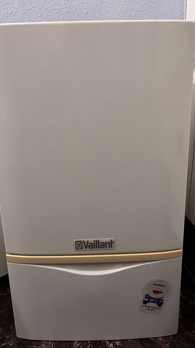 Caldera para calefacion de gas propano