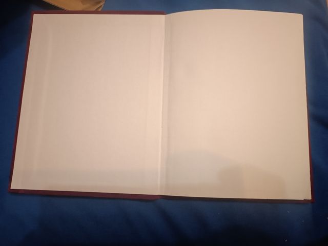 Rubrica/Agenda Placcata Argento 