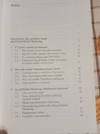 Social mobile marketing. L'innovazione dell'ubi...