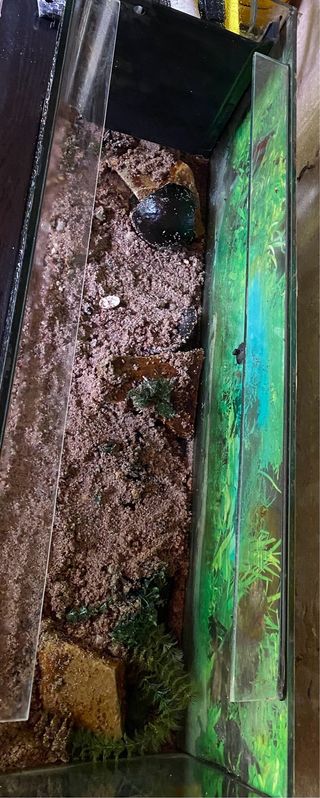 Acuario 120 litros  no funciona la luz de la tapa