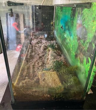 Acuario 120 litros  no funciona la luz de la tapa