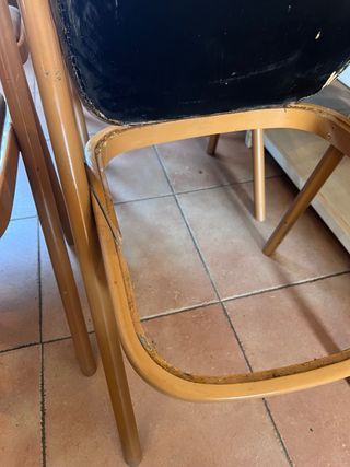 5 sillas diseño Zanotta Santina vintage