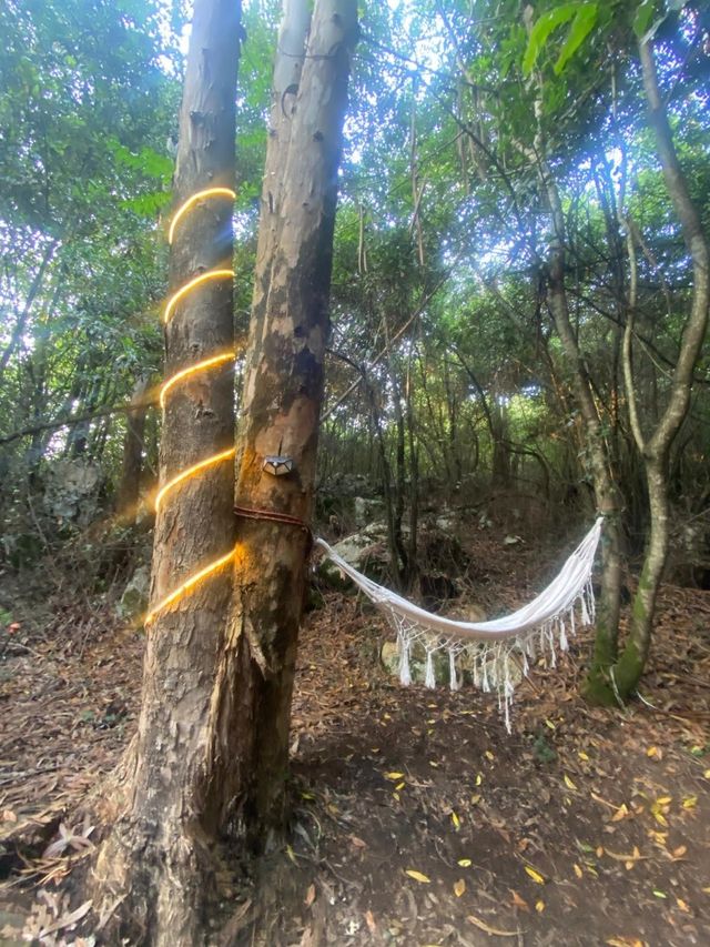 Alquiler espacio eventos - jardín