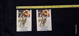 Pegatinas vintage ciclismo campagnolo cinelli
