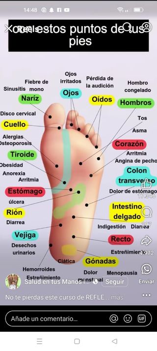 ZAPATOS DE PIEL CRUZADOS MARIPAZ 