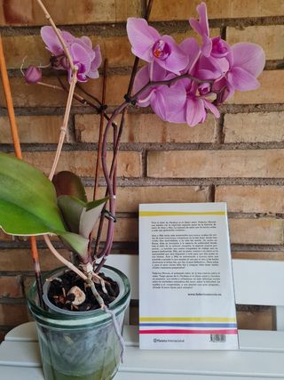 Perdona pero quiero casarme contigo (Spanish Ed...