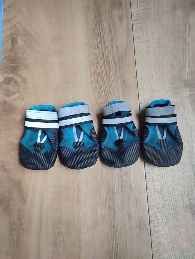 Botitas para perro