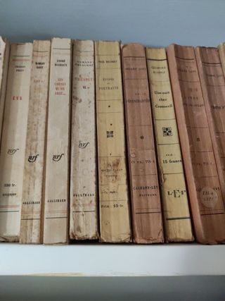 Lote 31 libros antiguos en francés