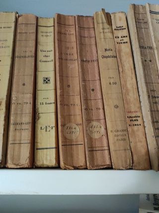 Lote 31 libros antiguos en francés