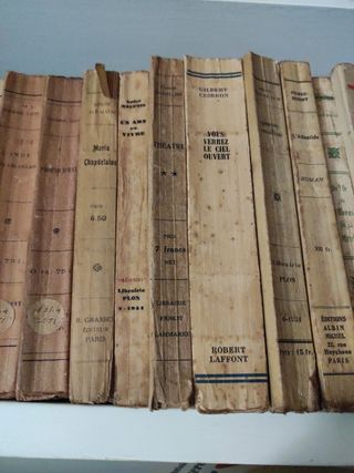 Lote 31 libros antiguos en francés