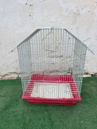 Jaula para canarios