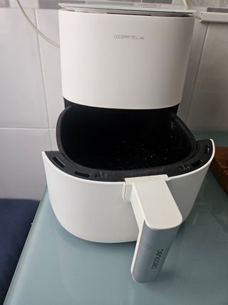 Cecotec Cecofry Deluxe 2.5L