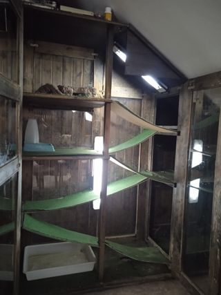 Terrario grande madera y cristal.