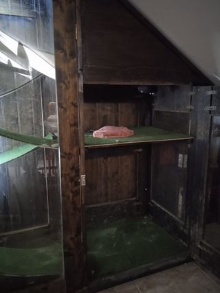 Terrario grande madera y cristal.