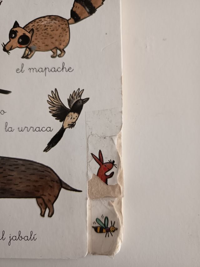 Libro cartón bebés y niño, con muchos animales