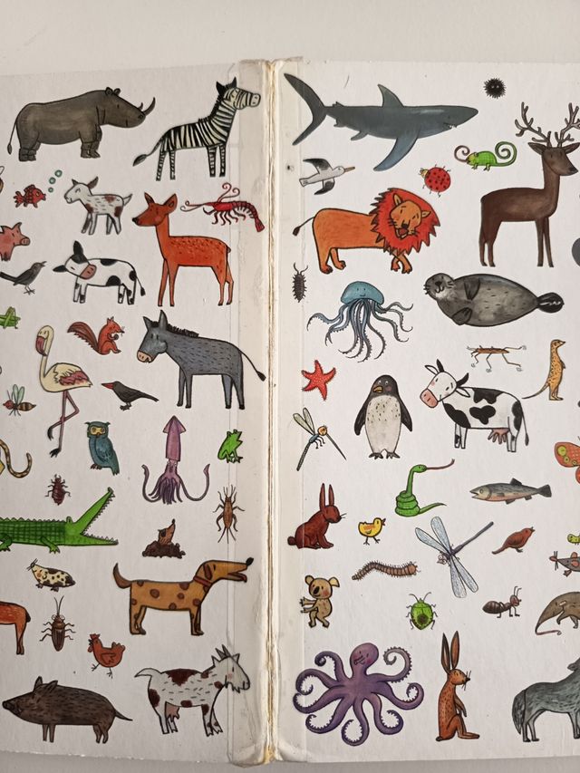 Libro cartón bebés y niño, con muchos animales