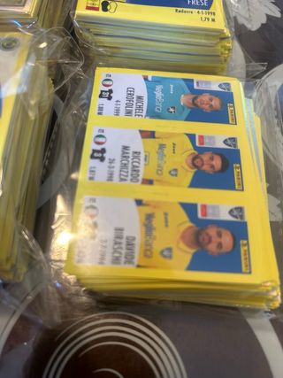 Set completo di figurine panini serie a 24/25