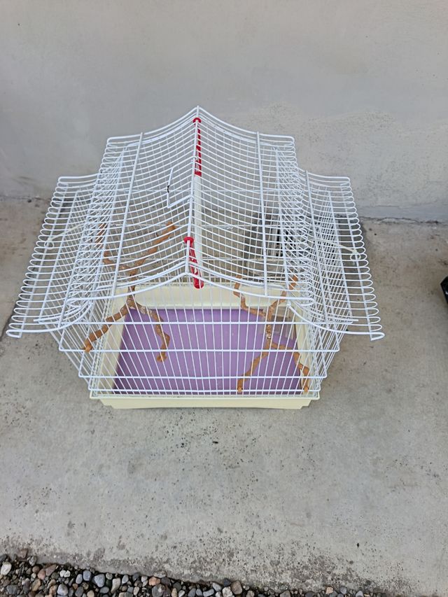 Gabbietta uccelli - bianca e beige