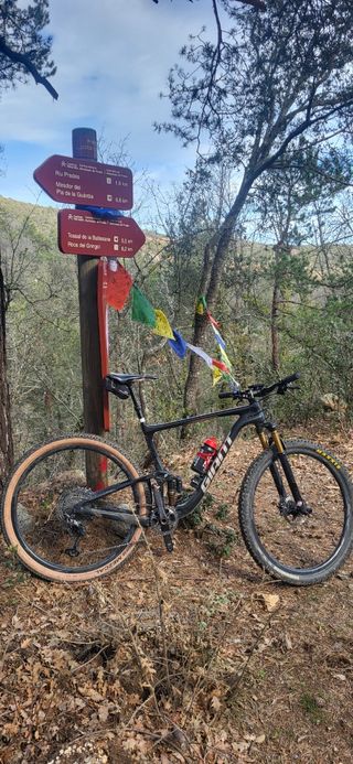 Bicicleta