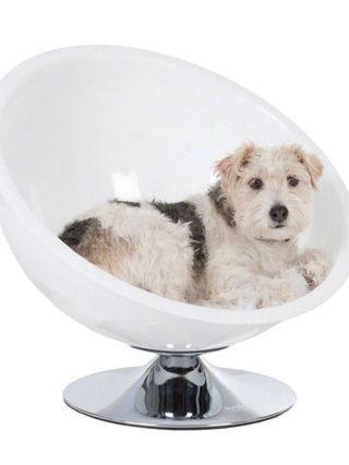 Cama Gato o perro de diseño Blanca