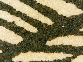 Grabado Durero antiguo