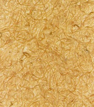 Grabado Durero antiguo