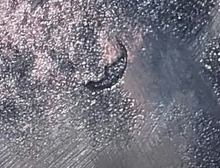 Grabado antiguo Durer