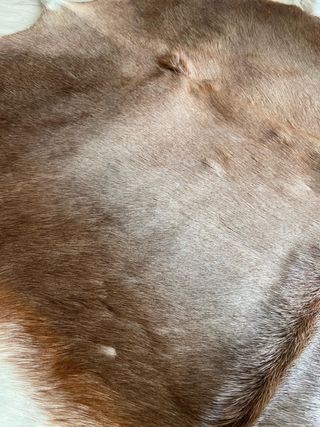 Alfombra piel de vaca