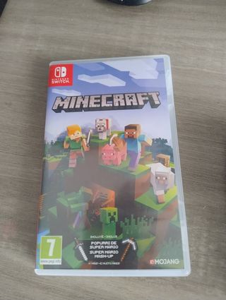 Minecraft Switch