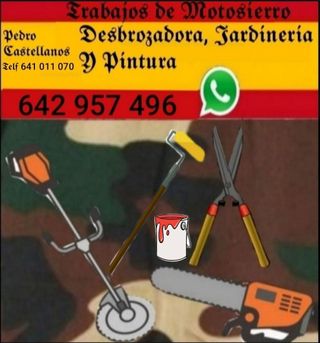 Trabajos de pintura y jardinería 