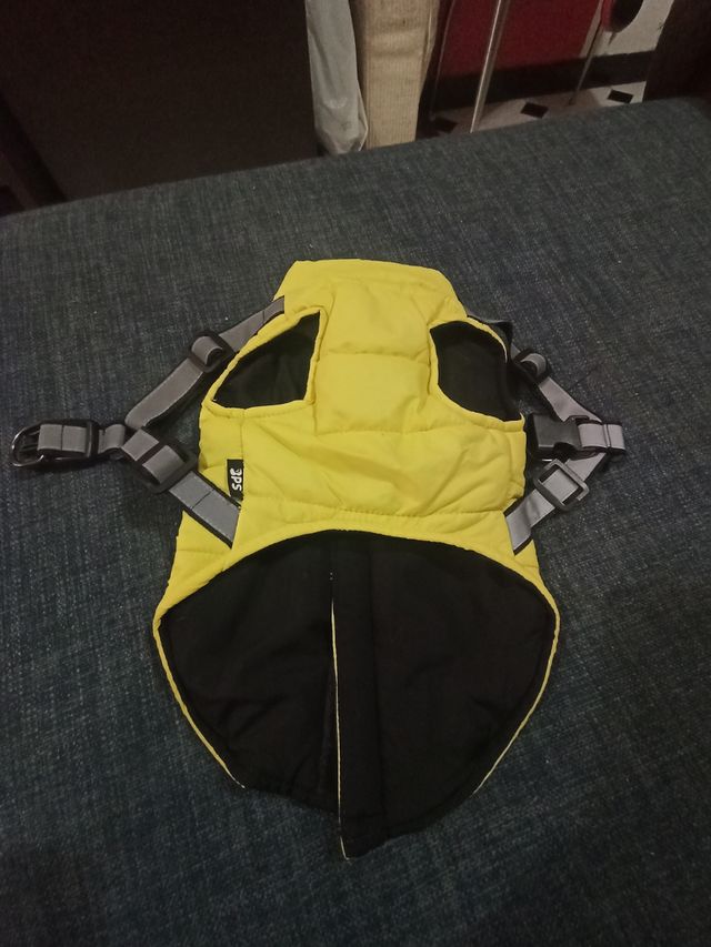 Arnés perro pequeño: invierno/verano