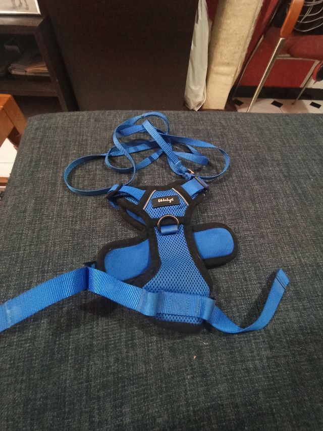 Arnés perro pequeño: invierno/verano