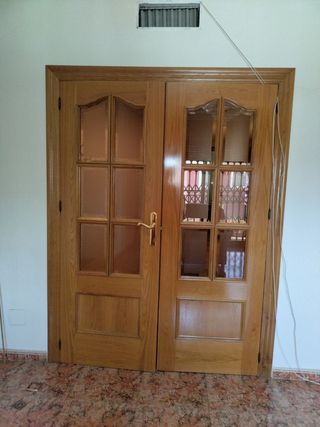 Oferta!!!Puerta doble salón - Roble con cristal, m