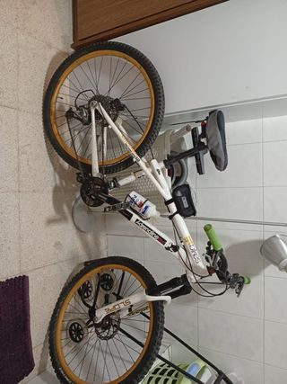 Bicicleta montaña Adrenaline
