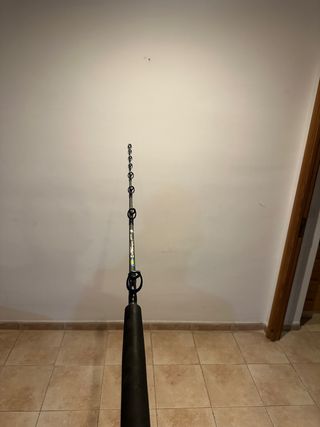 2 canne da traina, 1 penna da 20 libbre e 12/30 