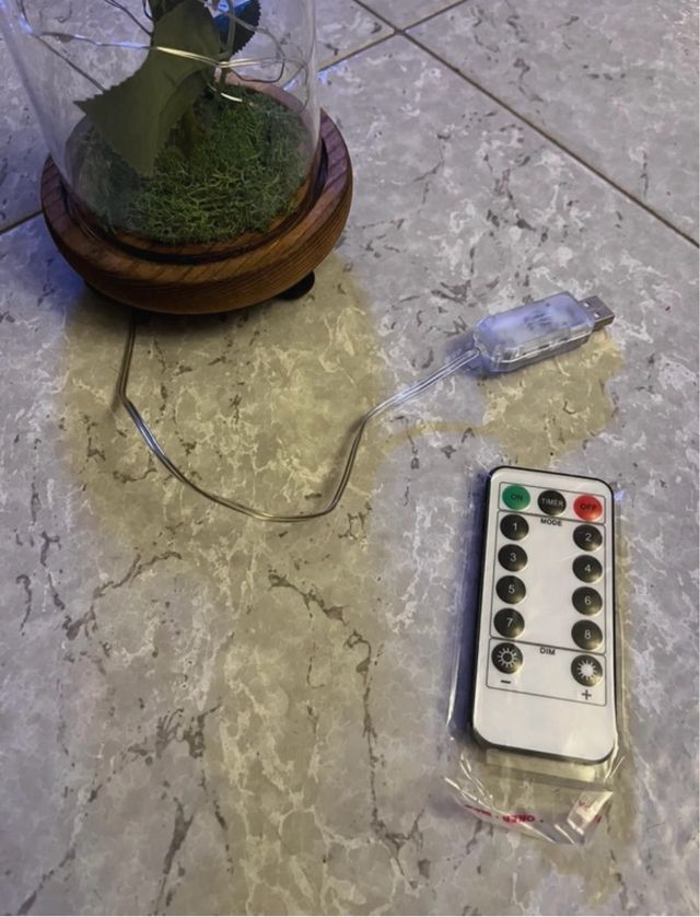 Rosa rossa La Bella e la Bestia in teca e luci nuova