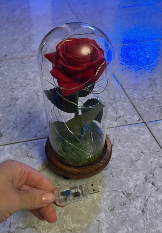 Rosa rossa La Bella e la Bestia in teca e luci nuova