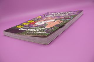 O Capitão Cuecas e a Louca Luta do Ranhoso Puto Bi