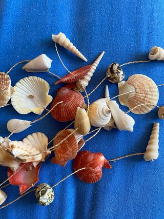 Acchiappasogni Ninnolo Musicale Dreamcatcher Conchiglie di Cipro