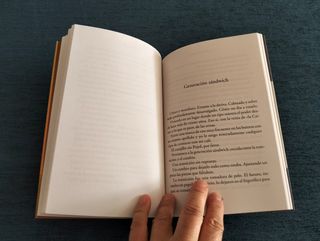 Loquillo. El chico de la bomba.