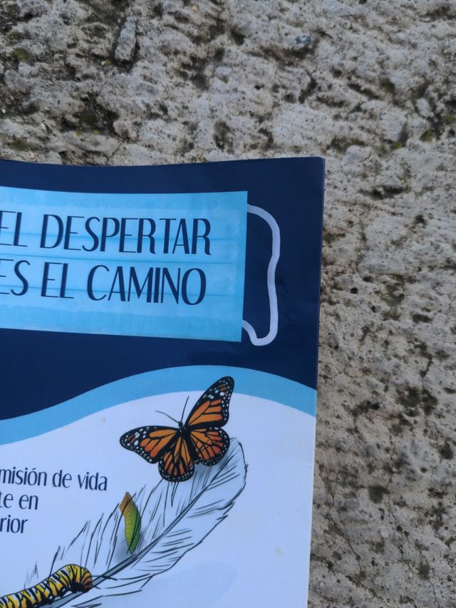 El despertar es el camino (Spanish Edition)
