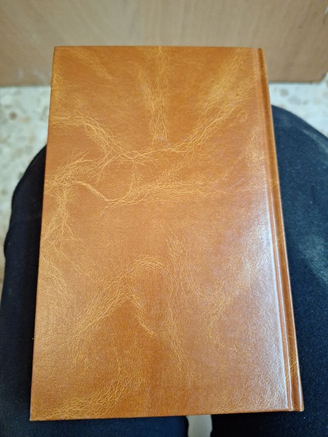 ¿Quien mató a Palomino Molero?