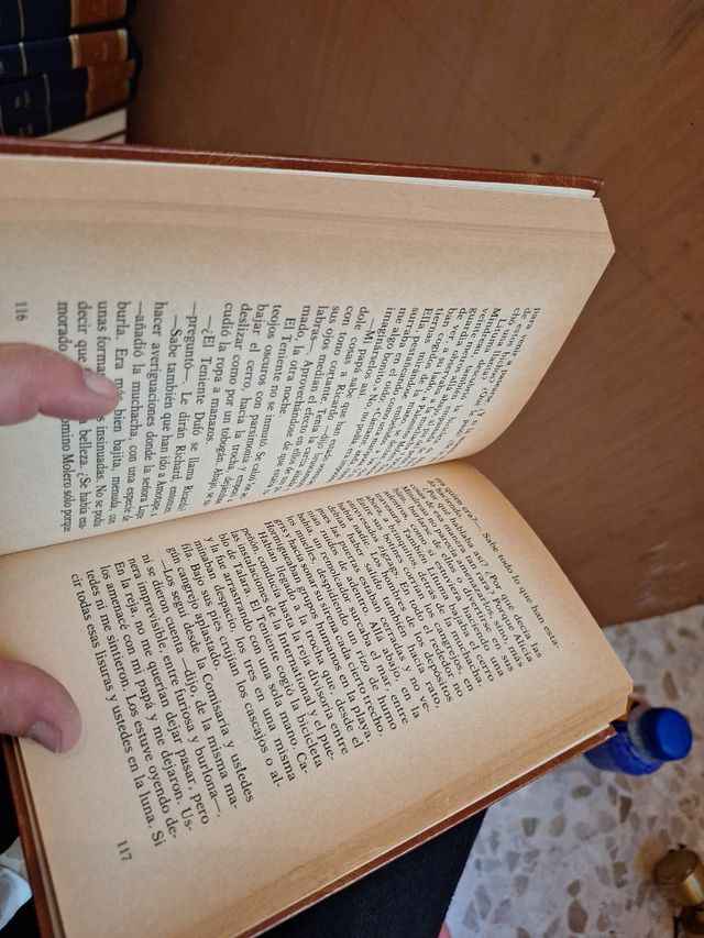 ¿Quien mató a Palomino Molero?