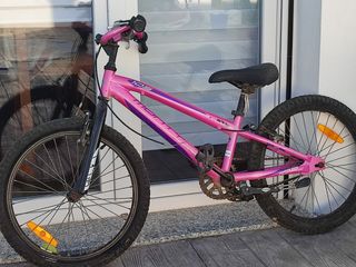 Bicicleta Monty