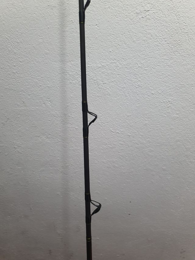 Caña shimano bastante master