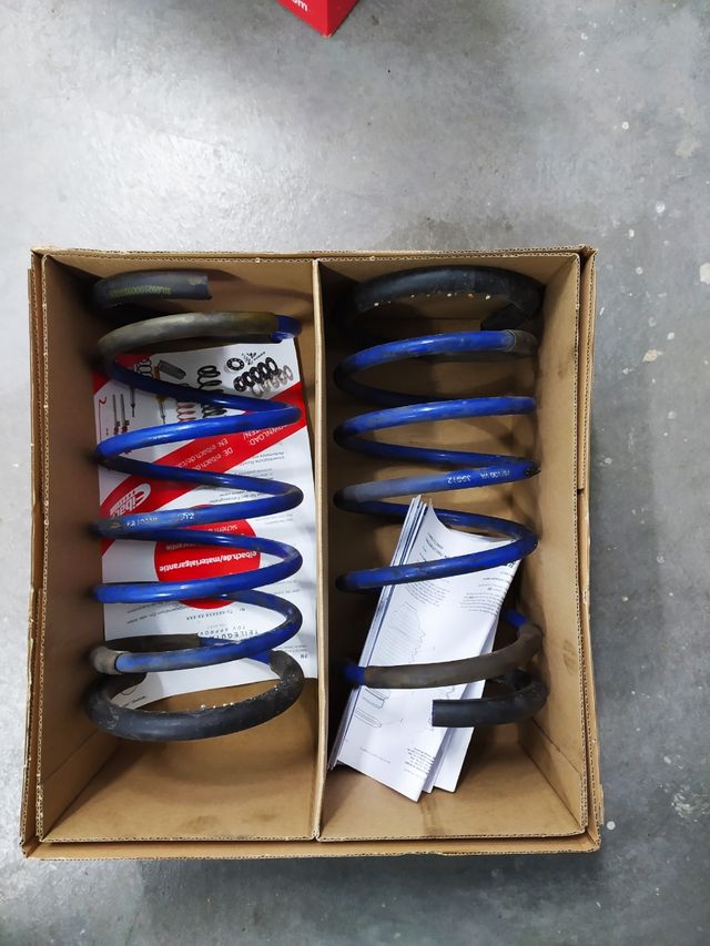 Muelles GTZ Racing Saxo/106